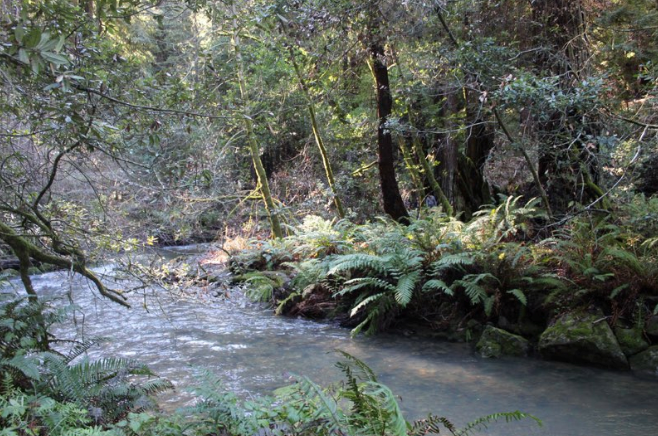 Screen Shot 2014-10-20 at 8.31.11 pm