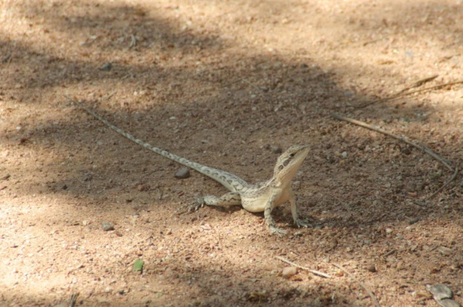 Screen Shot 2014-10-20 at 9.37.26 pm