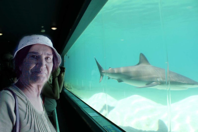 Screen Shot 2014-10-20 at 7.30.09 pm